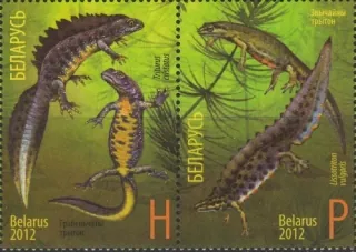 0922-0923 Fauna