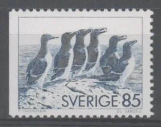 0937 Di