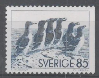 0937 Dr