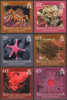 0951-0956 Fauna
