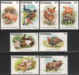 0966-0973 Fauna