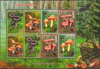 0971-0974 KB Hríby