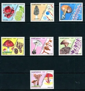 0989-0995 Hríby