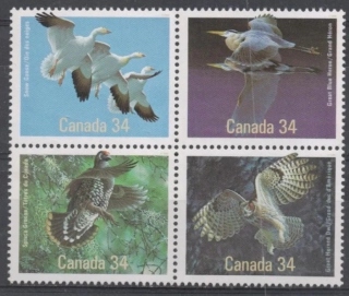 0995-0998 Vtaky