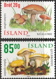 1000-1001 Hríby