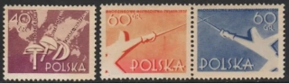 1005-1007 Sport