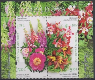 1005-1008 Kvety