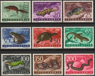 1007-1015 Fauna