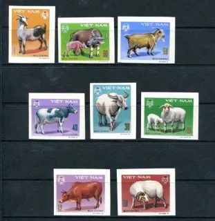 1020-1027 B Fauna