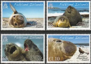 1024-1027 Fauna
