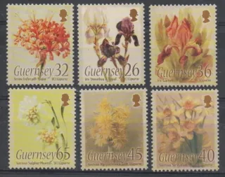 1033-1038 **Kvety