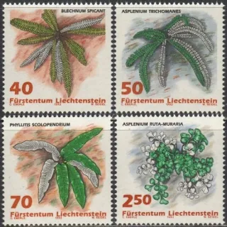 1045-1048**Flora