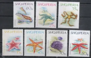 1060-1066 Fauna