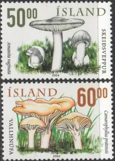 1071-1072 Hríby