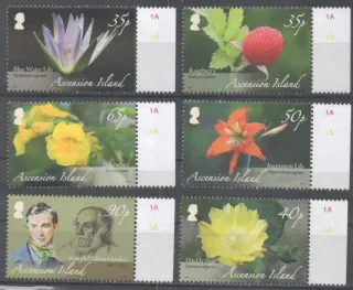 1076-1081 Kvety