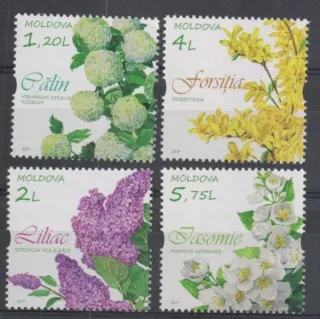 1094-1097 Flora
