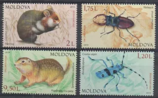 1098-1101 Fauna