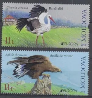 1102-1103 Fauna