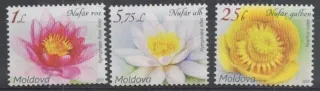 1104-1106 Flora