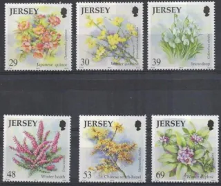 1105-1110 Kvety