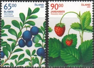1106-1107 Flora