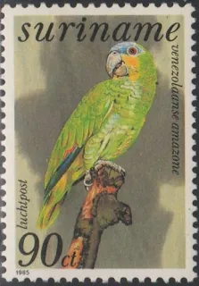 1113 Vtáky