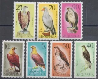 1124-1130 Fauna