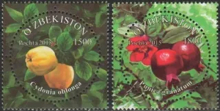 1131-1132 Flora