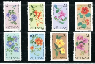 1137-1144 A Flora