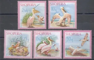 1138-1142 Fauna