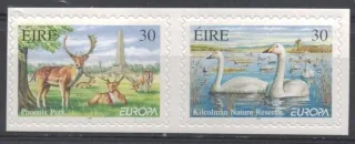 1141-1142