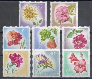 1143-1150 Flora