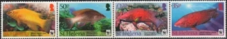 1145-1148 FAUNA