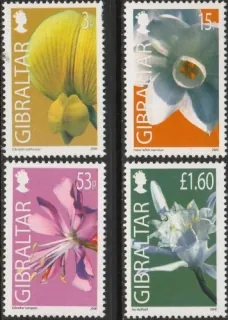 1146-1149 Kvety