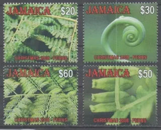 1154-1157 Flora