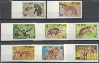 1155-1162 B Fauna