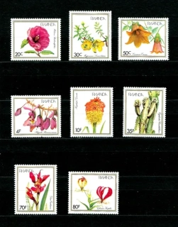 1167-1174 Kvety