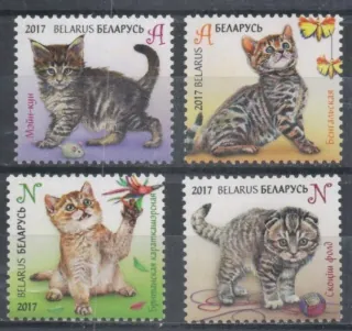 1169-1172 Fauna