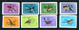 1171-1178 B Vtaky