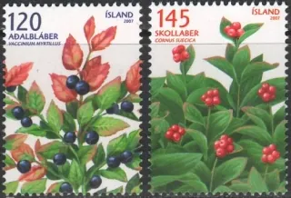 1175-1176 Flora