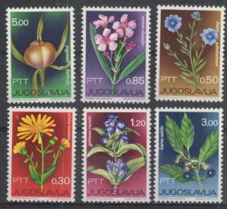 1200-1205 Flora