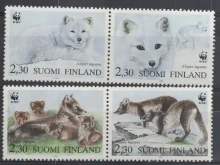 1202-1205 Fauna