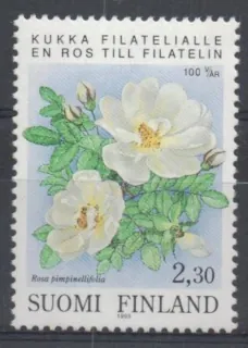 1208 Flora