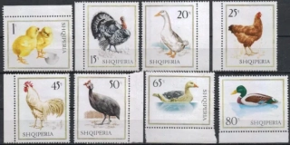 1213-1220 Fauna