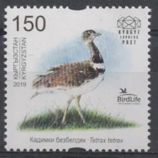 1226 Fauna