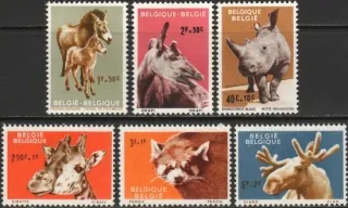 1242-1247 Fauna