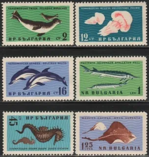 1243-1248 FAUNA