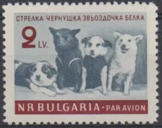1249