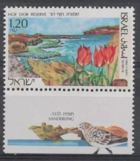 1252 Kvety