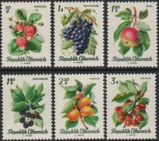 1253-1258** Flora